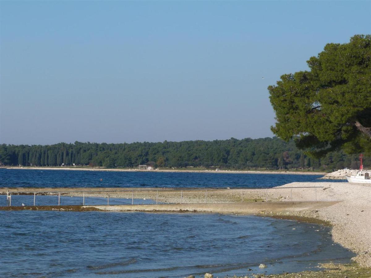 Lovely 400m From The Sea Appartamento *
